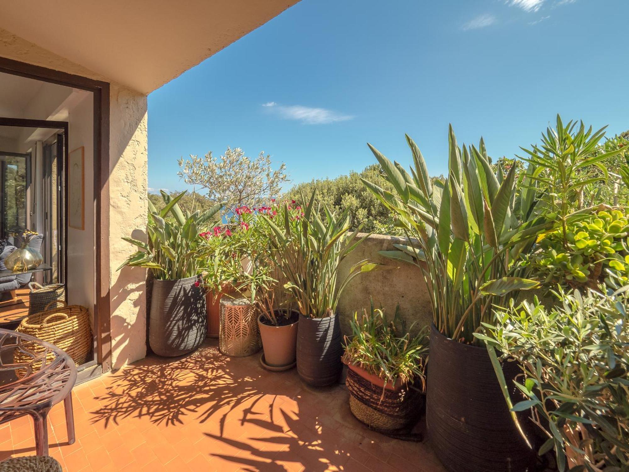 Residence Les Sources Brando Εξωτερικό φωτογραφία